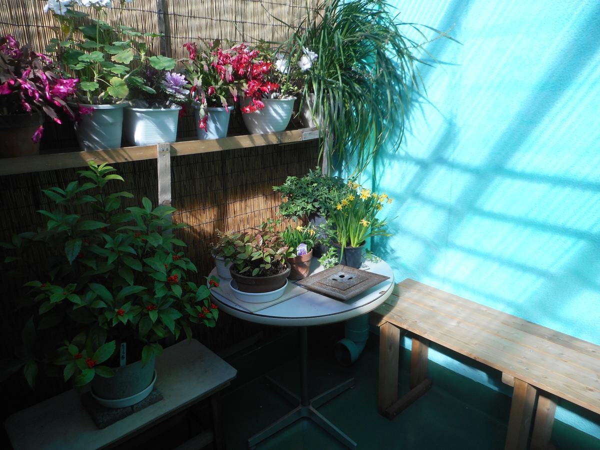 Jgh Tokyo Hostel 가와구치 외부 사진